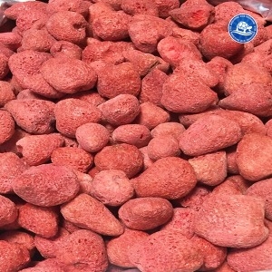 장수왕 딸기칩 200g 동결건조 과일칩 야채칩 건조딸기 건딸기_이미지