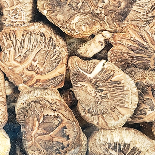 웰굿 진안직송 명품 참나무 표고버섯 200g 실속 소
