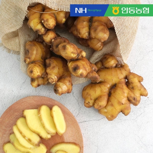 안동농협 씻어나온 세척 생강 2kg