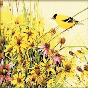 피포페인팅 DIY 명화그림그리기 Z092 노랑새와 야생화