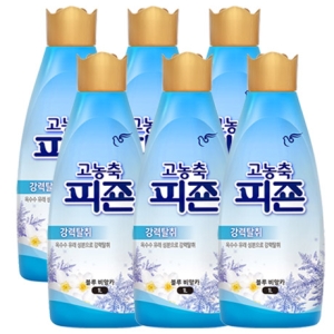 ���� ���� �ķ��� 1L