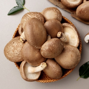 생거진천 무농약 표고버섯 2kg 파지_이미지