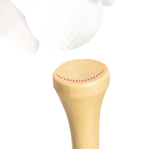 골프델루나 원목 나무 골프티 숏티 42mm (200개)_이미지