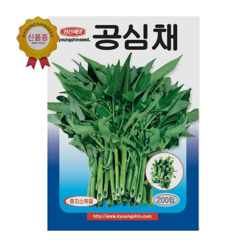 경신종묘 공심채씨앗 공심채 200립 1개_이미지