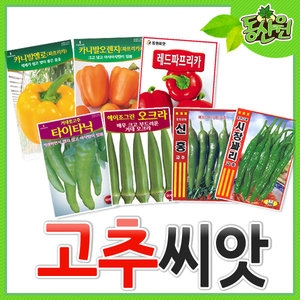 [불명] 씨앗모음 고추씨앗 파프리카씨앗 고추씨 씨앗 오크라