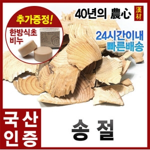 자애인 국산 송절 1200g 소나무가지 송절차 동송근_이미지