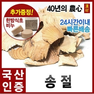 자애인 국산 송절 1200g 소나무가지 송절차 동송근