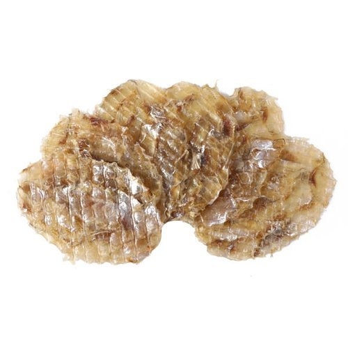 너트리 조미 쥐치포 쥐포 3L사이즈 특대 1kg