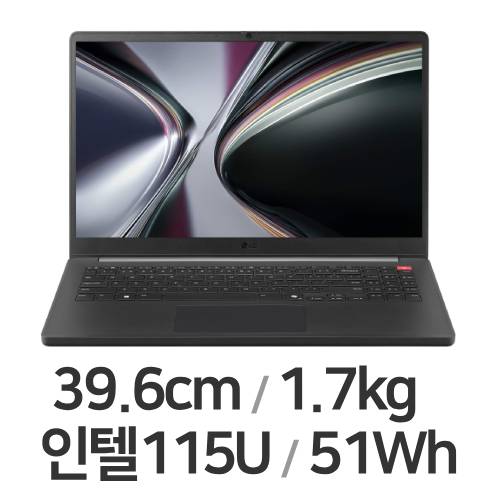 LG전자 그램북 15UD50U-GX5JK 16GB램 (SSD 4TB)