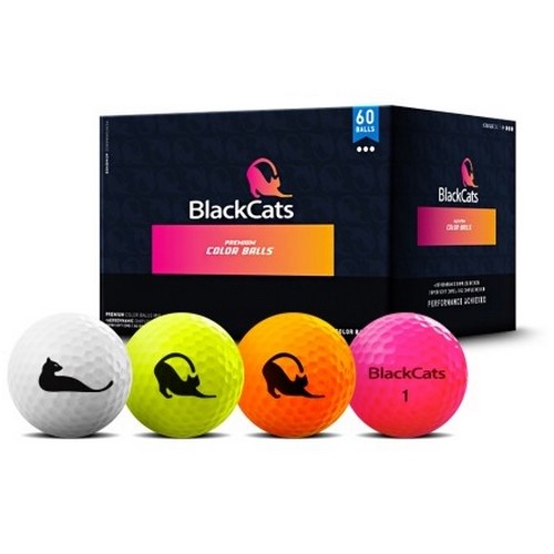 블랙캣츠 프리미엄