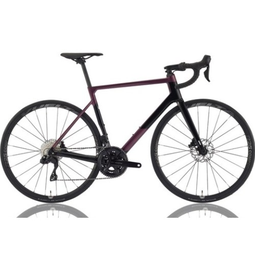 ��õ�������� ÿ�� ���� E7 (2023����)