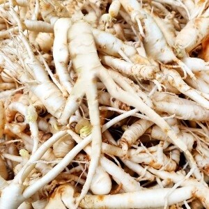 후금이네 실속형 세척 <b>인삼</b> 수삼 파삼 막삼 못난이삼 300g+300g