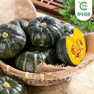 온도씨 가락시장 단호박1통 약1kg_이미지