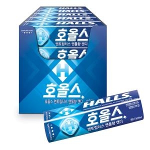 호올스 스틱 27.9g 20개 멘토립터스_이미지