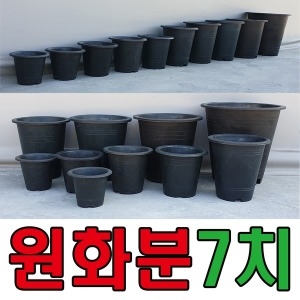 [불명] 원화분 6치 원분 블루베리 분갈이 고무 원형 화분_이미지