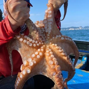 팜비타 통영 자숙 돌<b>문어</b> 1kg