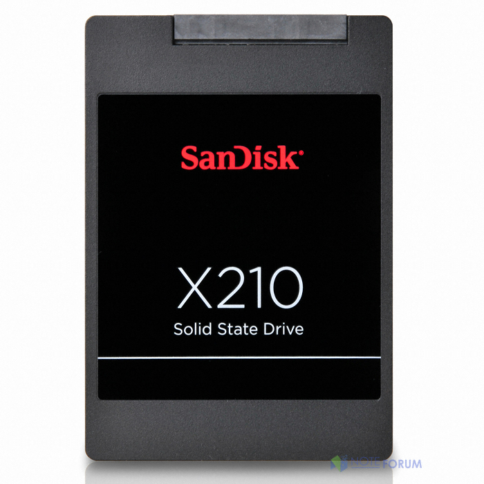 Sandisk X210 Series SSD 인택앤컴퍼니 (256GB)