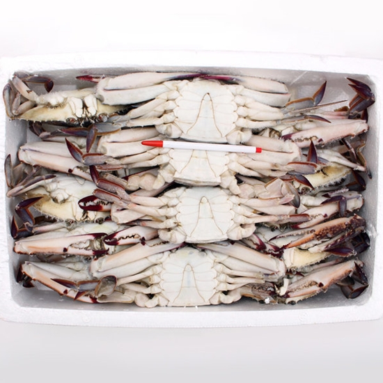 헬로우피셔 냉동 숫 꽃게 300/400 4kg
