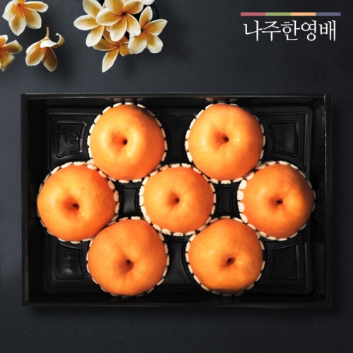 나주한영배 한영배 단품 6~7과 5kg