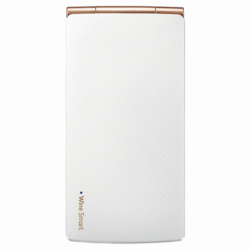 LG���� ���ν���Ʈ, �ڱ���