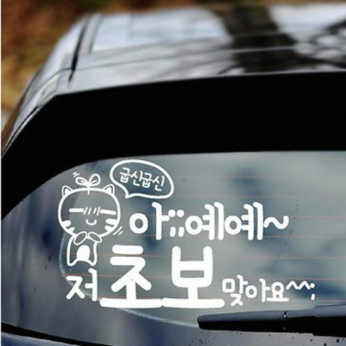 카티커 (481) 아예예 초보맞아요 초보운전 스티커