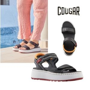 ���� �������� �������� W9DSPRI3M11CG ����