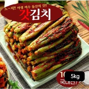 선화식품 여수 노지 햇 갓김치 2.5kg [2개]