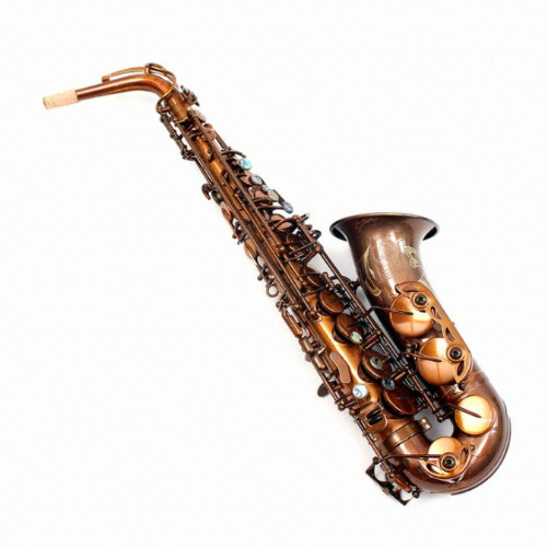 뮐러 ㅤ제니스 프로 알토 색소폰 10종 패키지_이미지