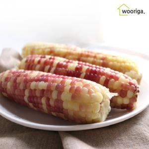 우리가스토리 냉동 삶은 찰옥수수 14~16cm 내외 (16개)_이미지