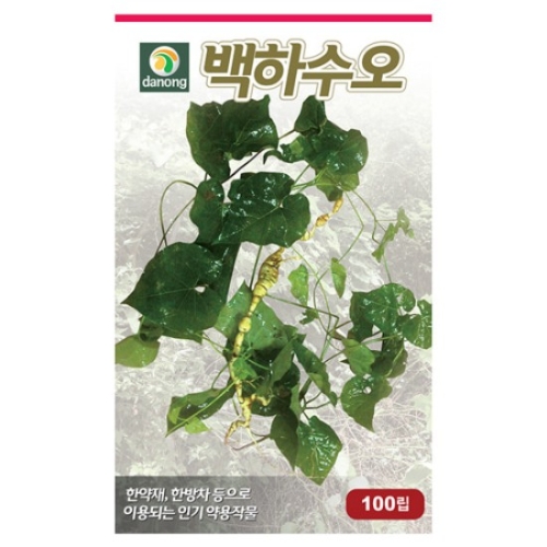 화분백화점 백하수오씨앗_이미지