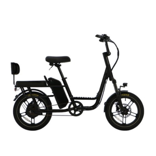 ���������� ����Ʈ�� EQ (2025����)