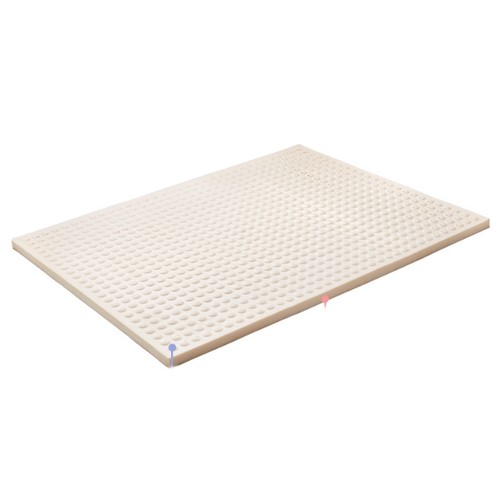 ��ƽ�ħ�� CL���ؽ� ���ξ� ���� ��Ʈ���� 6.5cm