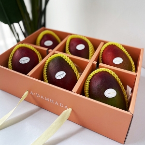 애플망고선물세트 5호 3kg내외 (1개)_이미지