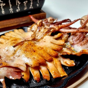 국내산 못난이 반건조오징어 1kg 피데기오징어 피대기 파지