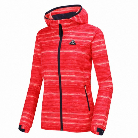 K2 ���� �ö��̿�ũ ���Ϲ�ǳ����