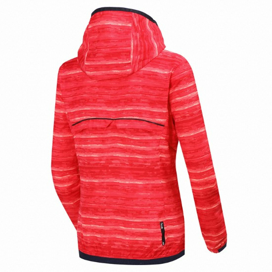 K2 ���� �ö��̿�ũ ���Ϲ�ǳ����