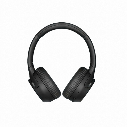 SONY WH-XB700 (해외구매)_이미지