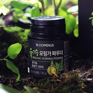  예기 블루미너스 유기농 모링가 파우더 30g [6개]