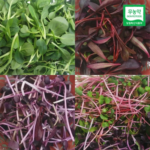 �ڿ��̰� ģȯ������� ��� ä�� 500g /SJ ��������� ���̺�ä�� ��پ�ä ����� ������� ��