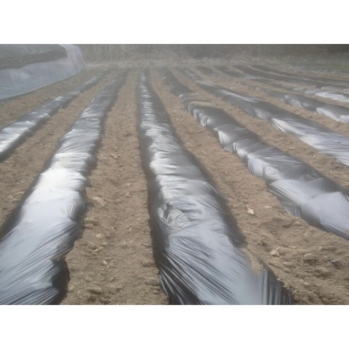 진성 농업용 멀칭 비닐 0.02mm (90cm x 200m)_이미지