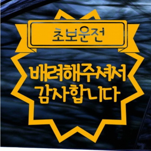 카티커 NEW145 배려해주셔서 감사합니다 초보운전 스티커_이미지