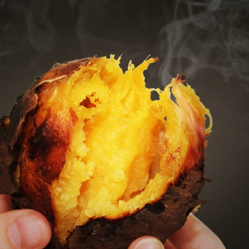 소리팜 해남 꿀고구마 특상 10kg