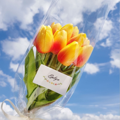 ���ø� ���� ��ȭ ƫ�� �ɴٹ� 10���� ������