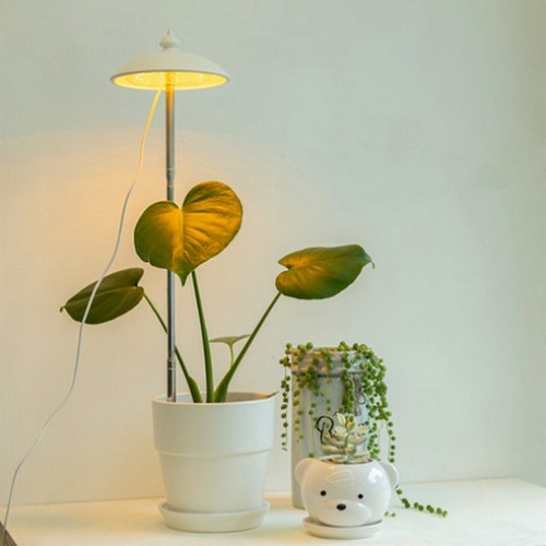 ����� LED ��� �Ĺ� ����� 5W