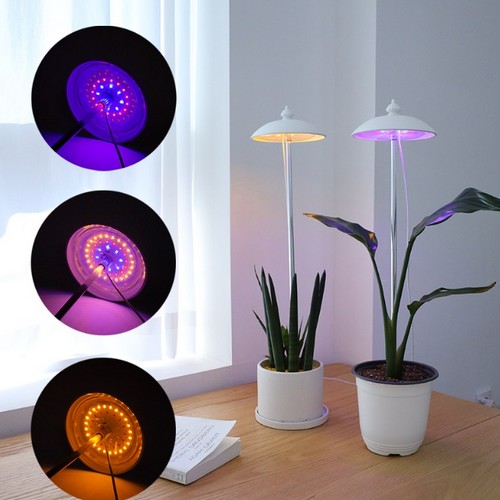 ����� LED ��� �Ĺ� ����� 5W