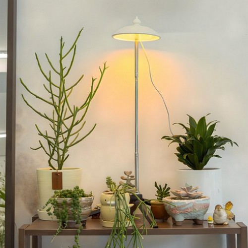 ����� LED ��� �Ĺ� ����� 5W