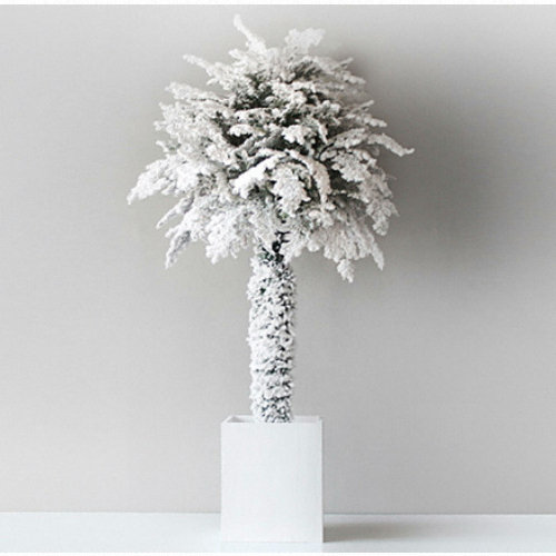 블루밍앤미 샤인 스노우 토피어리 박스트리 (120cm)