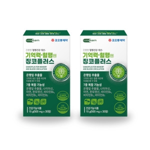 코오롱제약 징코 진코민 분말 캡슐 은행잎추출 아연 뇌영양제 2통_이미지