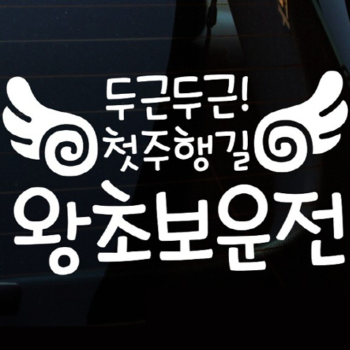 자동차 스티커3 글씨 두근두근 첫주행길 왕초보운전 LSC-402