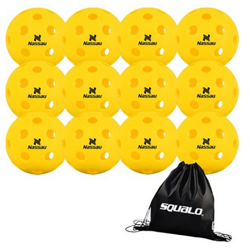 피클볼 연습볼 실내용 1개입+SQ 공 가방